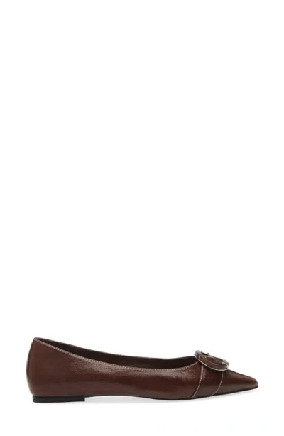 Jeffrey Campbell Punctual Pointed Toe Flat In Brown