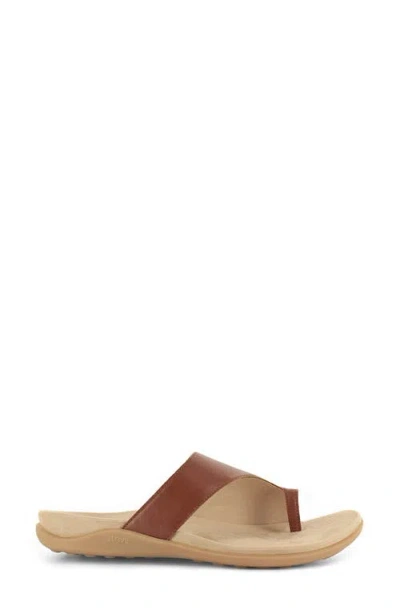 Strive Capri Iii Toe Loop Sandal In Brown