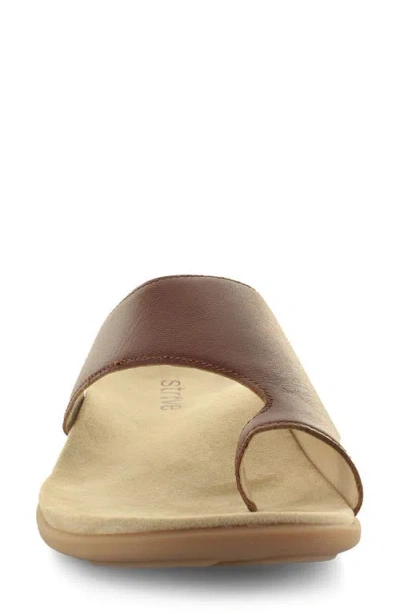 Strive Capri Iii Toe Loop Sandal In Brown