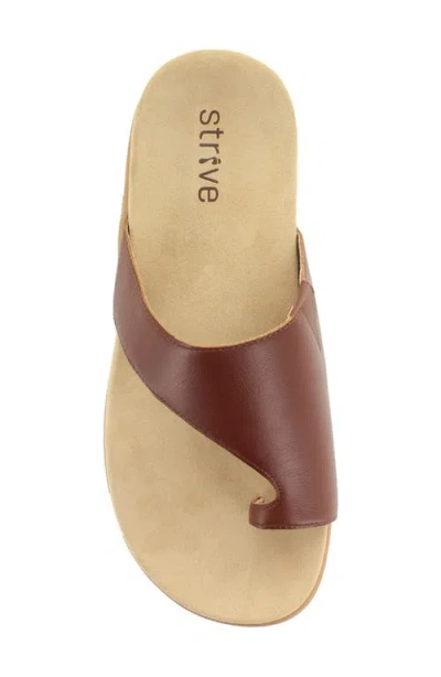 Strive Capri Iii Toe Loop Sandal In Brown