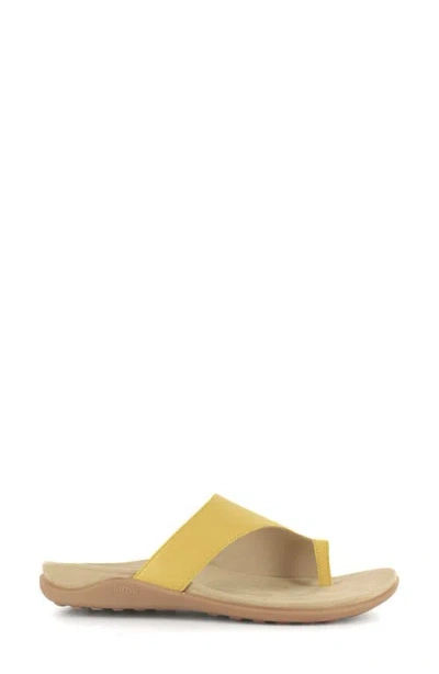 Strive Capri Iii Toe Loop Sandal In Multi