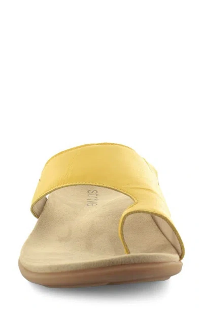 Strive Capri Iii Toe Loop Sandal In Multi