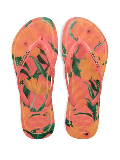 Havaianas Tropical Flip-flops In Multi