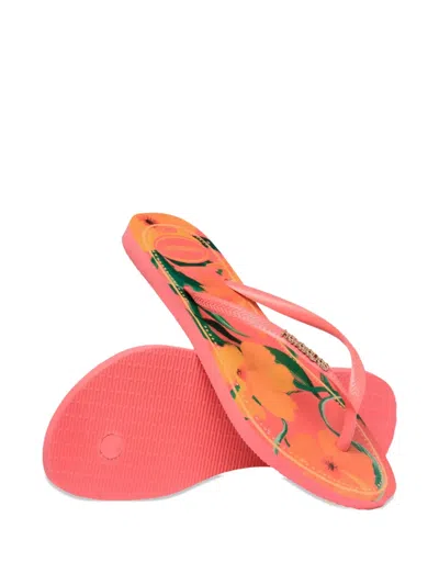 Havaianas Tropical Flip-flops In Multi