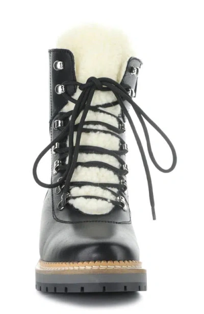 Bos. & Co. Adley Waterproof Wool Boot In Black