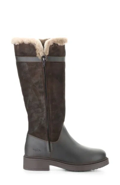 Bos. & Co. Neva Waterproof Genuine Shearling Boot In Brown