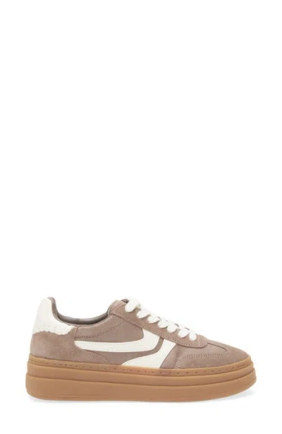 Steve Madden Dodge Platform Sneaker In Brown