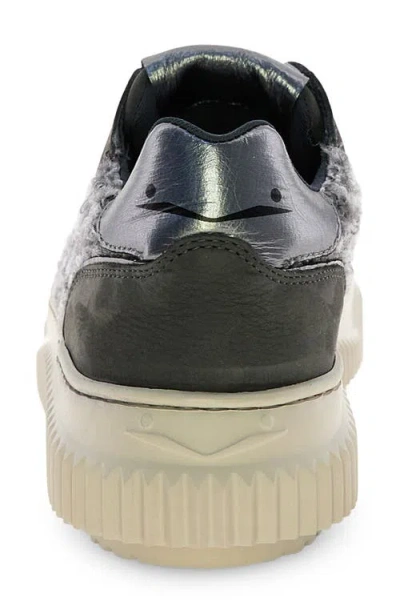 Voile Blanche Lipari Wool & Genuine Shearling Sneaker In Gray