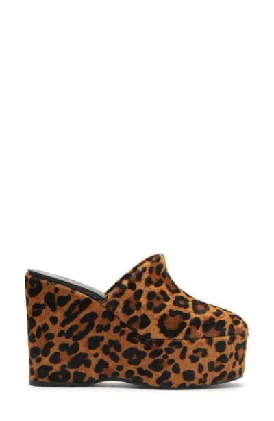 Schutz Sierra Platform Clog In Leopard, Women's At Urban Outfitters In Brown