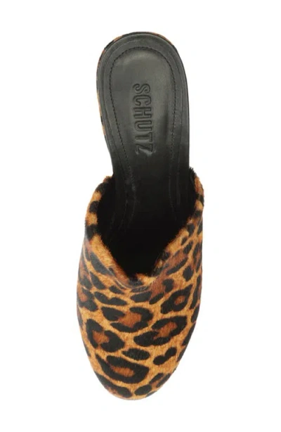 Schutz Sierra Platform Clog In Leopard, Women's At Urban Outfitters In Brown