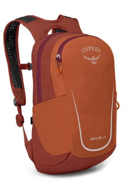 Osprey Kids' Daylite™ Jr. Water Repellent Backpack In Brown