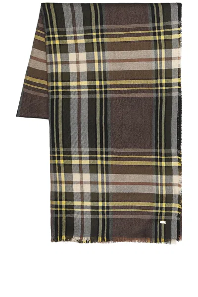 Saint Laurent Large Fringed Scarf In Multi