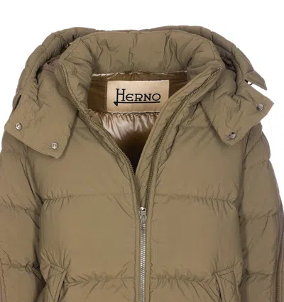 Herno Green Padded Down Jacket Frontal Zip Closure In Brown