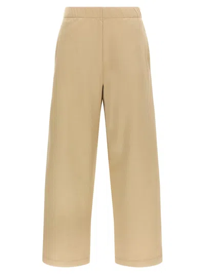 Max Mara Filovia Pants In Brown