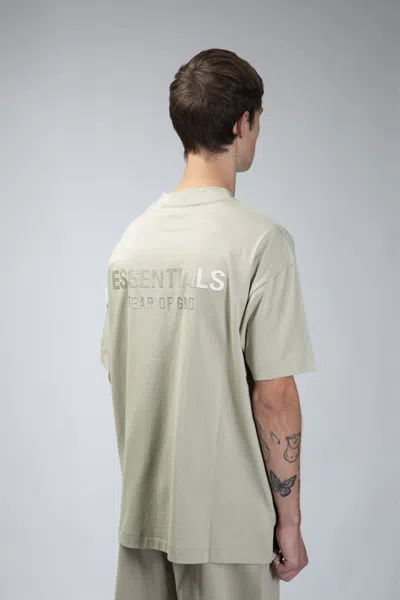 Essentials Prince Chinos Trouserswith Pences In Velvet In Green