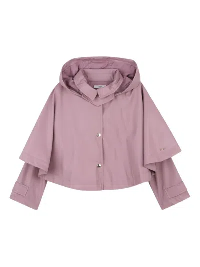 Chloé Hooded Cropped Jacket In Purple