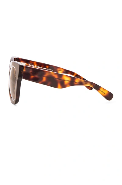 Shop Acne Studios Library Sunglasses In Turtle