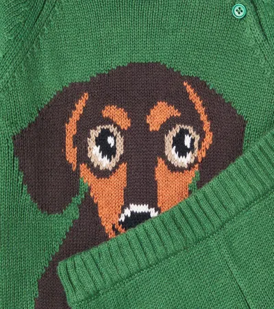 Molo Baby Bless Sweater And Sol Sweatpants Set In Green