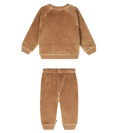 Molo Baby Doggy Sweatshirt And Sweatpants Set In Brown