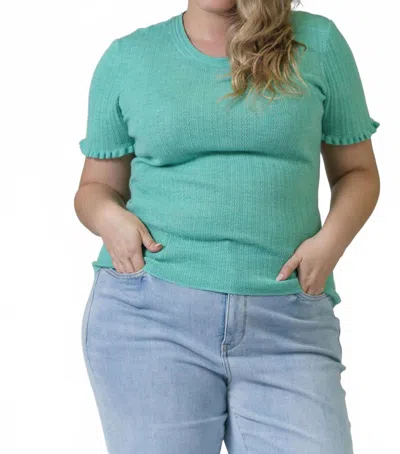 Tanya Taylor Molly Short Sleeve Knit Top - Plus In Mint Heather In Green