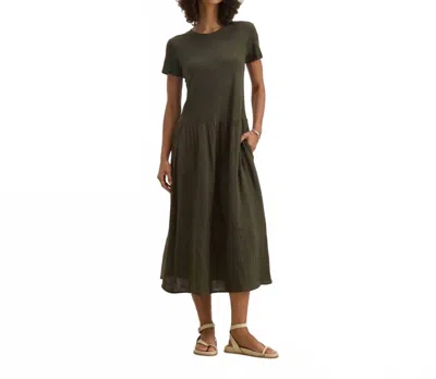 Velvet By Graham & Spencer Itza Cotton Midi Dress In Hedge In Green