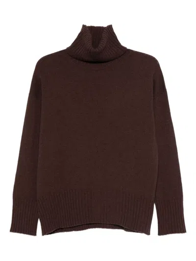 Alysi Ribbed Turtleneck Sweater In Brown