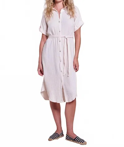 Sundry Gauze Roll Sleeve Shirt Dress In Oyster In White