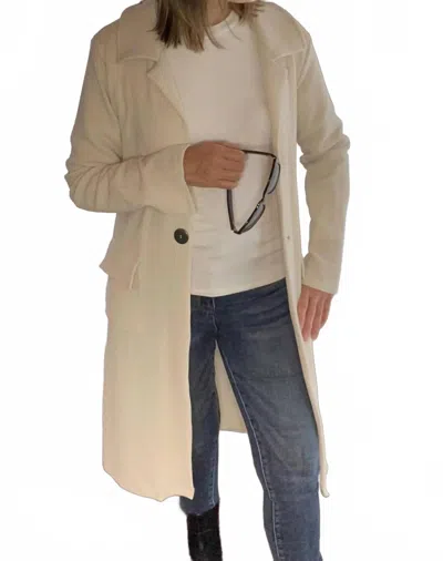 Ariella Long Collared Jacket In Cream In Gray