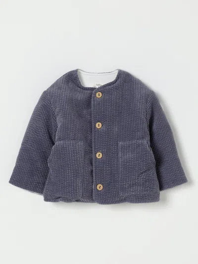 Teddy & Minou Jacket  Kids Color Grey In Gray