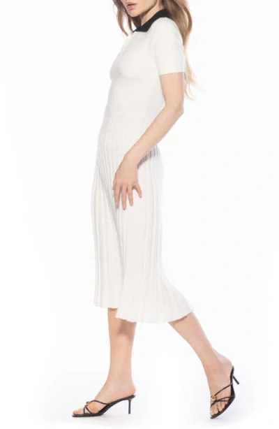Alexia Admor Lanie Collared Knit Midi Dress In White