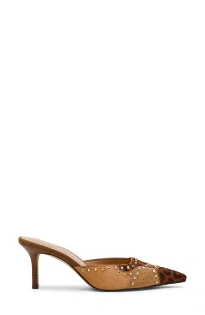 Steve Madden Alexi Pointed Toe Mule In Multi