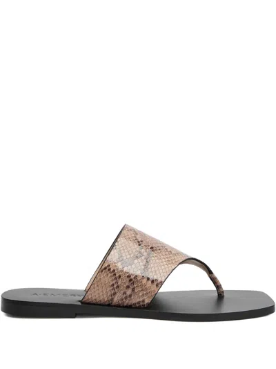 A.emery Paton Snake-effect Leather Flip Flops In Brown