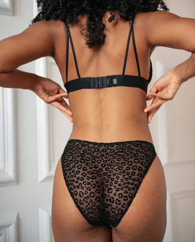Understatement Mesh Bikini Briefs Black Leopard In Black