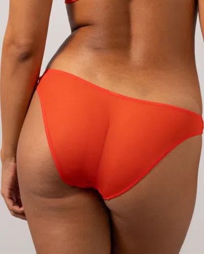 Understatement Mesh Bikini Briefs Fiery Red In Red