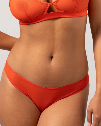 Understatement Mesh Bikini Briefs Fiery Red In Red