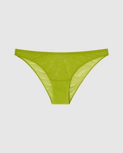 Understatement Mesh Bikini Briefs Matcha In Green