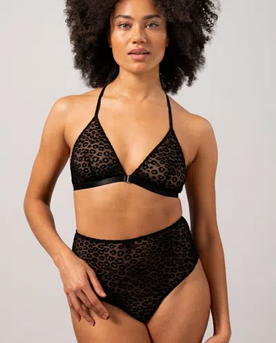 Understatement Mesh Highwaist Briefs Black Leopard In Gold
