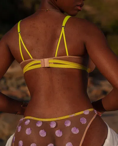 Understatement Mesh Bikini Briefs Warm Nude/lilac In Gold