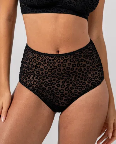 Understatement Mesh Highwaist Briefs Black Leopard In Gold