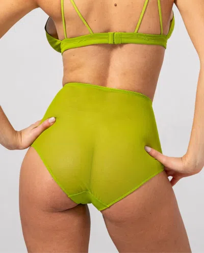Understatement Mesh Highwaist Briefs Matcha In Green
