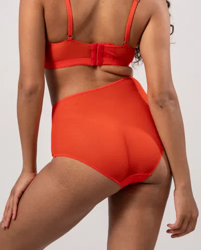 Understatement Mesh Highwaist Briefs Fiery Red In Gold