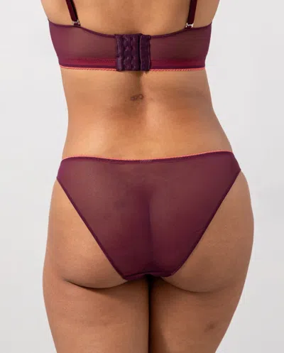 Understatement Mesh Bikini Briefs Cherry/coral In Purple