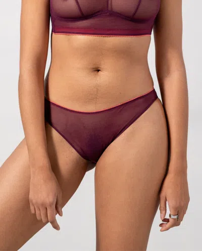 Understatement Mesh Bikini Briefs Cherry/coral In Purple