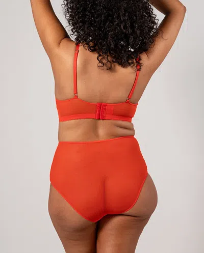 Understatement Mesh Highwaist Briefs Fiery Red In Gold