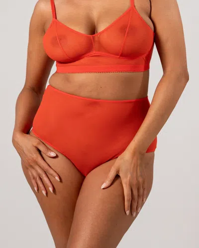 Understatement Mesh Highwaist Briefs Fiery Red In Gold