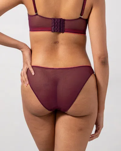 Understatement Mesh Bikini Briefs Cherry/coral In Purple