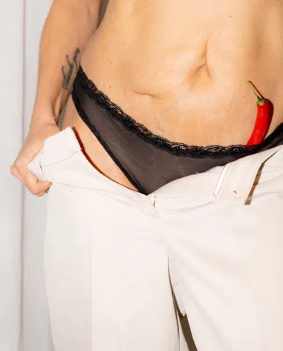 Understatement Mesh Lace Trim Bikini Briefs Black In Black