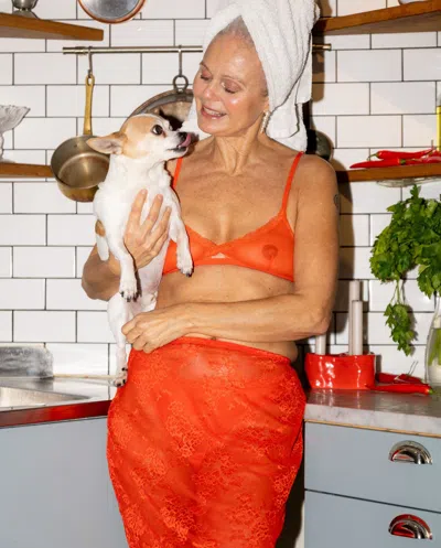 Understatement Mesh Lace Cut-out Triangle Bralette Fiery Red In Red