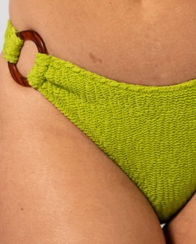 Understatement Ring Bikini Briefs Matcha In Green