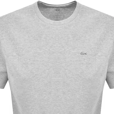Lacoste Loungewear Waffle T Shirt Grey In Gold
